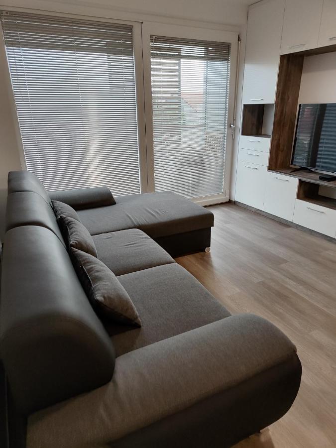 Family Apartment Моравське Топлице Екстер'єр фото