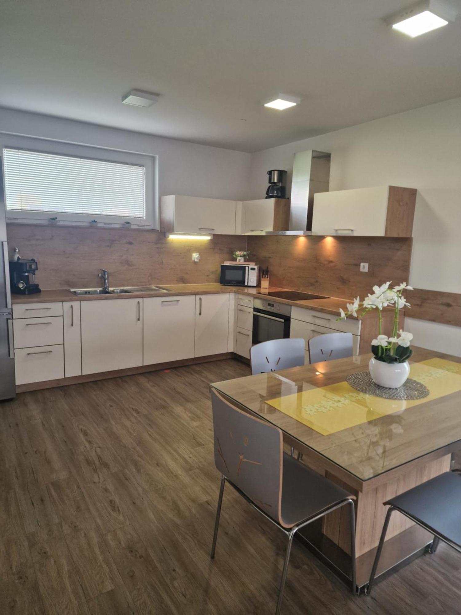 Family Apartment Моравське Топлице Екстер'єр фото